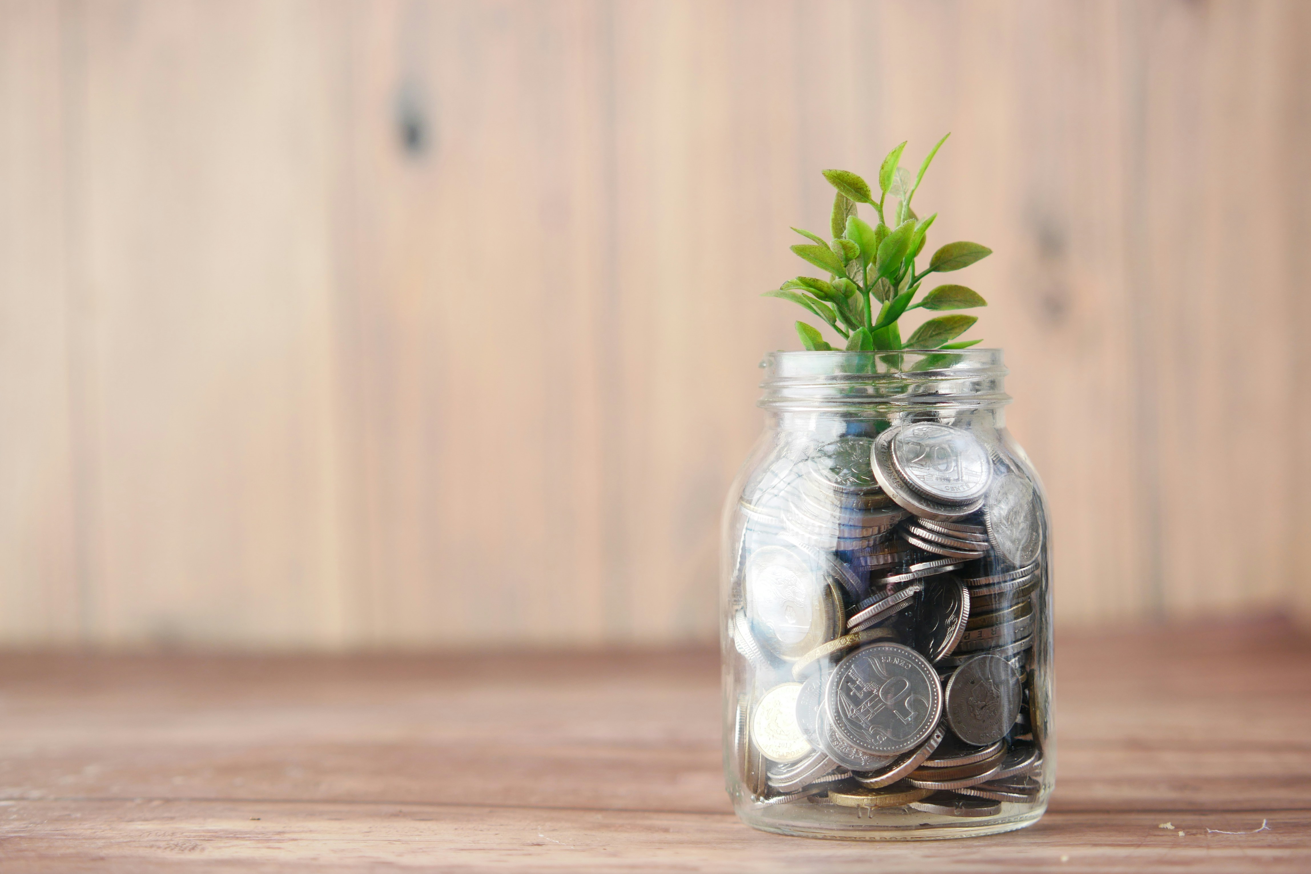Monedas acumulándose junto a una planta que crece, símbolo de ahorro e inversión a largo plazo